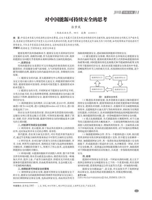 对中国能源可持续安全的思考