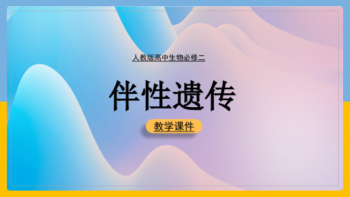 高中生物人教版必修二《伴性遗传》课件