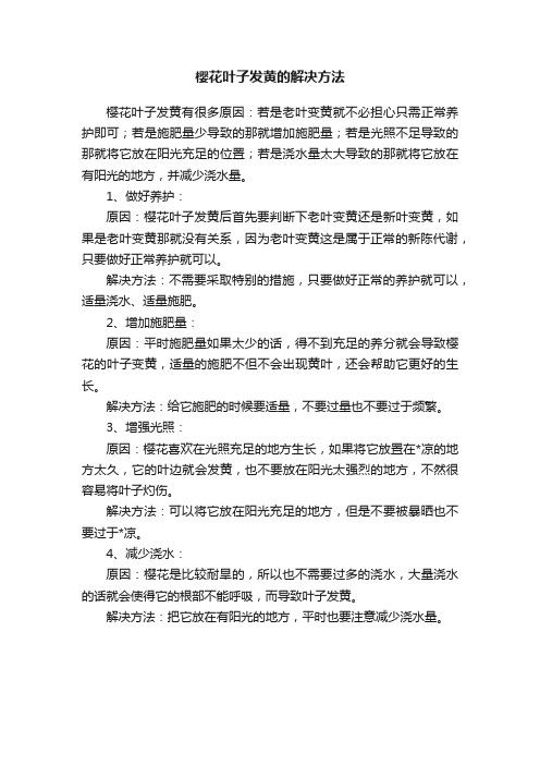 樱花叶子发黄的解决方法