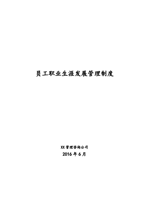 北大纵横—中国兵器工业—员工职业生涯发展管理制度