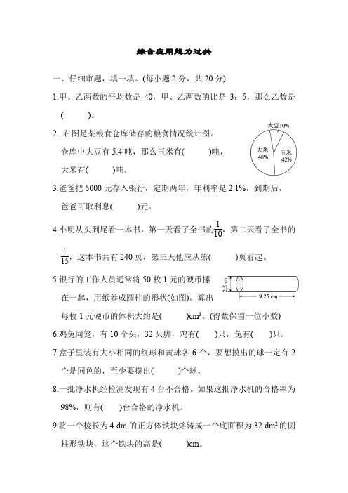 人教版六年级数学下册期末专项复习综合应用能力过关测试卷