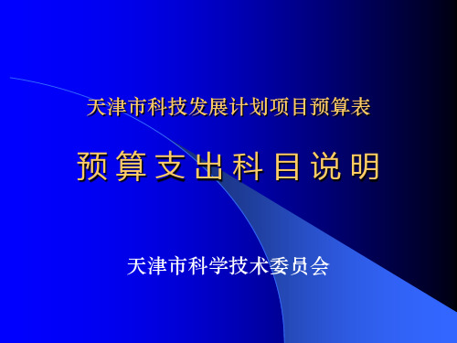 基金项目预算表(问题说明)