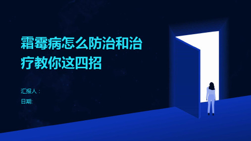 霜霉病怎么防治和治疗教你这四招