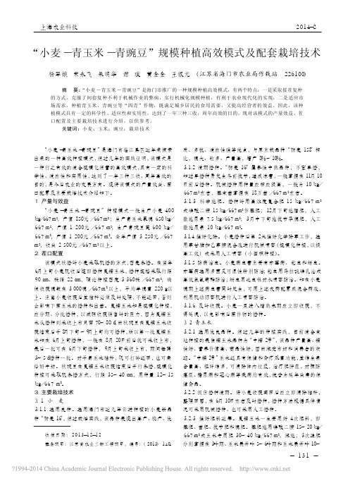 _小麦_青玉米_青豌豆_规模种植高效模式及配套栽培技术