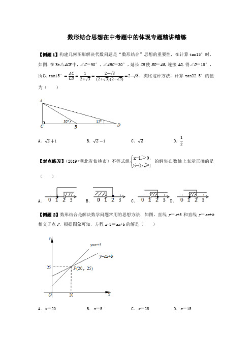 数形结合思想在中考题中的体现专题精讲精练