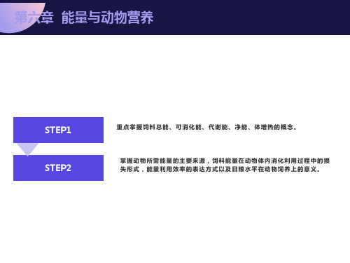 动物营养学第六章能量与动物营养