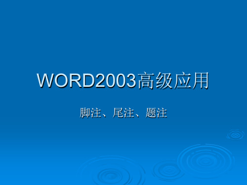 WORD2003高级应用--脚注和尾注及题注