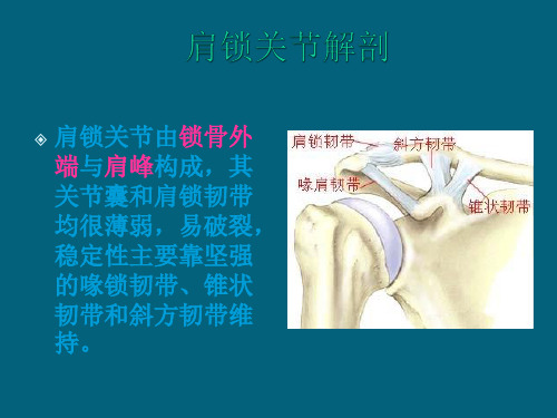 肩锁关节脱位患者的护理ppt课件