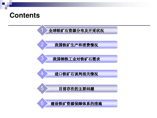 我国铁矿石资源战略保障体系研究V