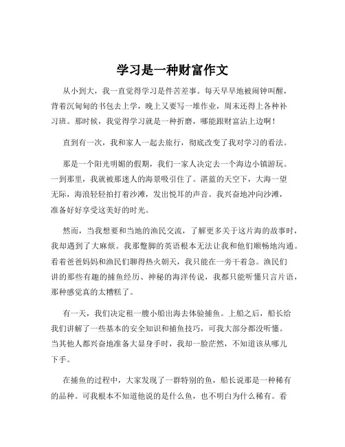 学习是一种财富作文