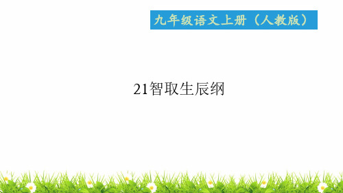 人教版部编版中学九年级语文上册《智取生辰纲》优质课件