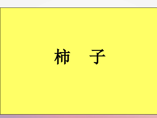 柿子少儿国画水墨美术PPT课件