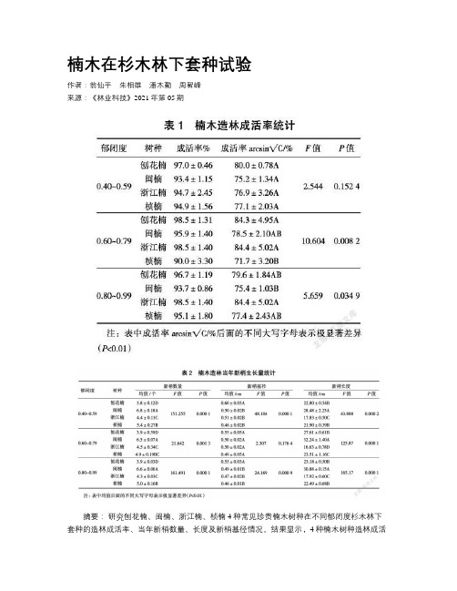 楠木在杉木林下套种试验