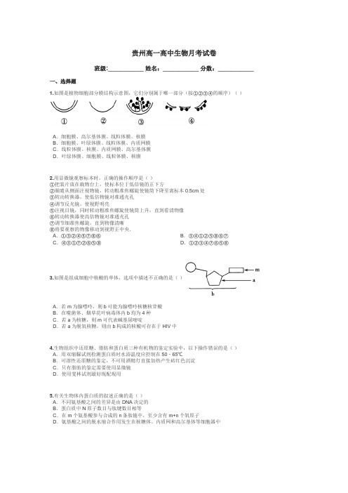 贵州高一高中生物月考试卷带答案解析
