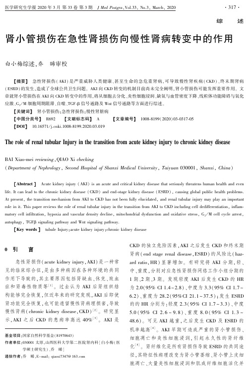 肾小管损伤在急性肾损伤向慢性肾病转变中的作用