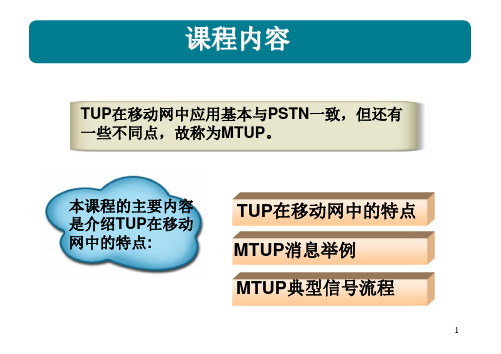 MA020011MTUP信令原理