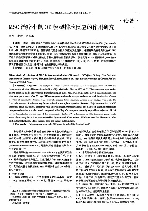 MSC治疗小鼠OB模型排斥反应的作用研究