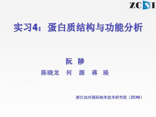 实习4蛋白质结构与功能预测 共74页