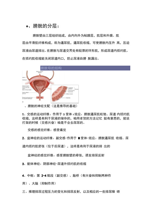 完全推理排尿过程