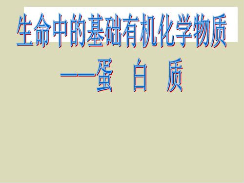 蛋白质和核酸公开课课件1