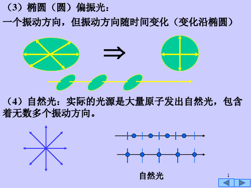 物理学下第五版马文蔚复习PPT(精简版)光学3-偏振PPT课件