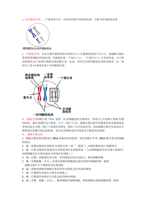 区别同源和非同源染色体