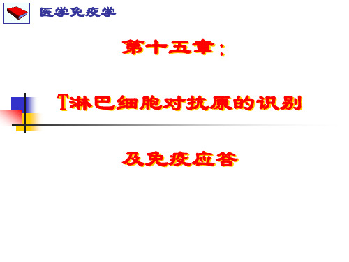 第十五章：T淋巴细胞对抗原的识别及免疫应答