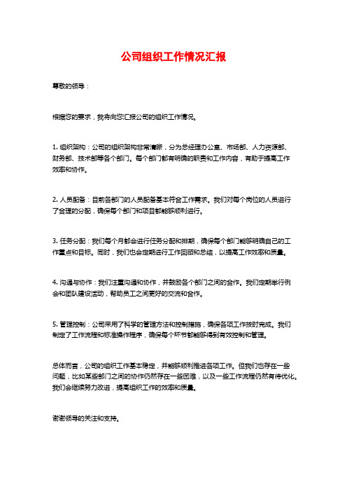 公司组织工作情况汇报