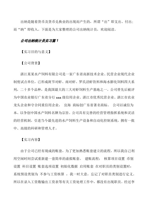 公司出纳统计员实习报告范文[修改版]