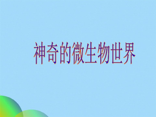 微生物(共56张PPT)