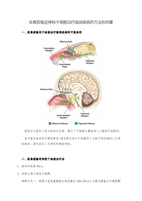 经鼻腔输送神经干细胞治疗脑部疾病的方法和剂量