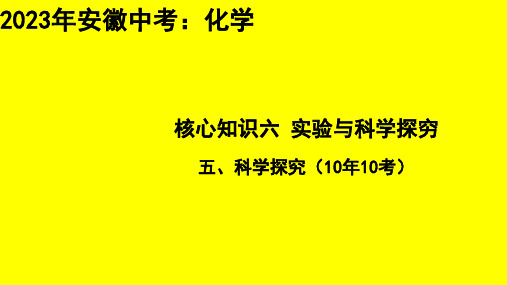 2023年安徽省中考化学专题总复习：物质成分的探究