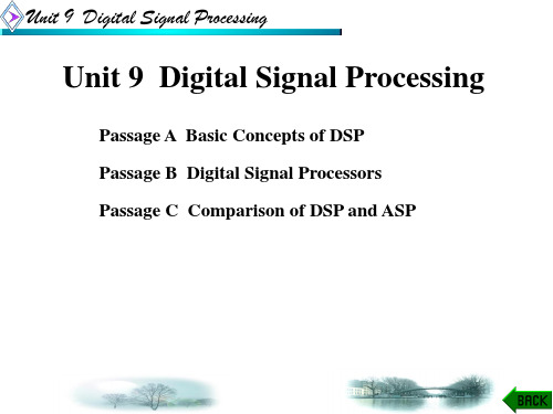 电子信息类专业英语Unit 9  Digital Signal Processing