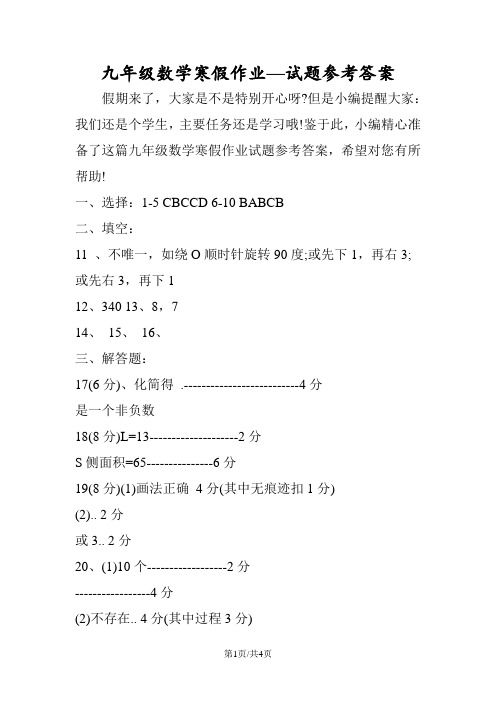 九年级数学寒假作业试题参考答案