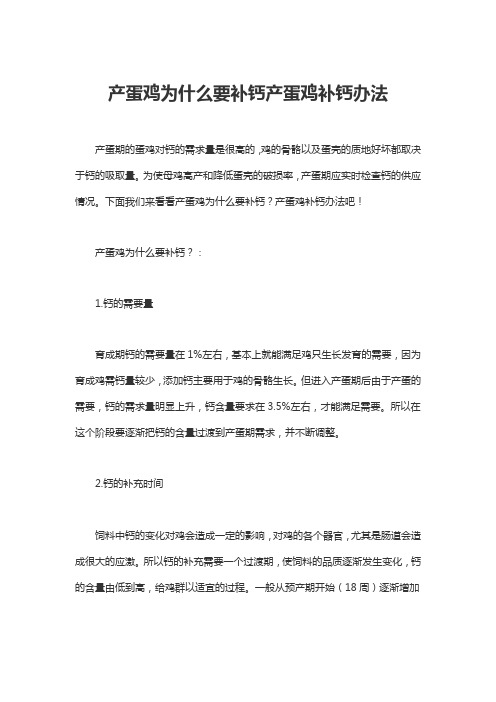 产蛋鸡为什么要补钙产蛋鸡补钙办法