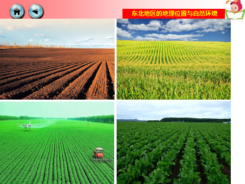 湘教版八年级地理下册第六章第三节《东北地区工业分布》课件