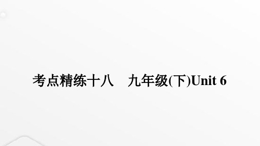 课标版中考英语复习考点精练十八九年级(下)Unit6课件