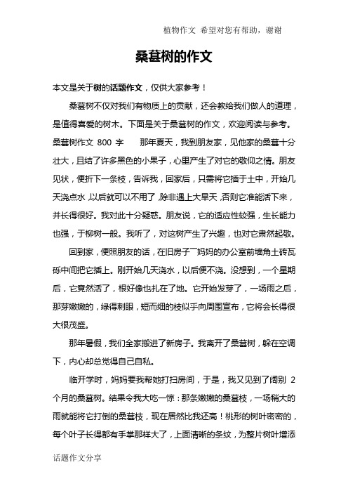 桑葚树的作文
