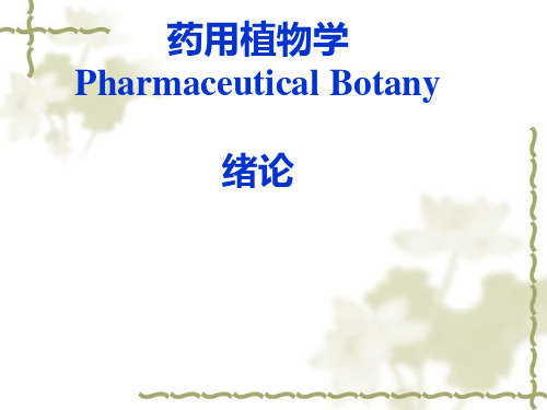 药用植物学课件