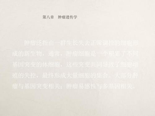 肿瘤与遗传ppt课件