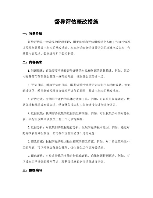 督导评估整改措施