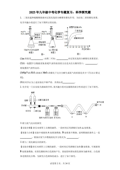 2023年九年级中考化学专题复习：科学探究题