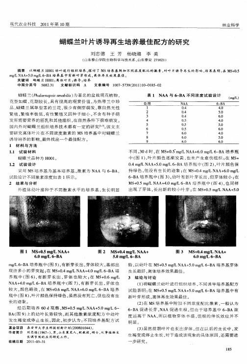 蝴蝶兰叶片诱导再生培养最佳配方的研究