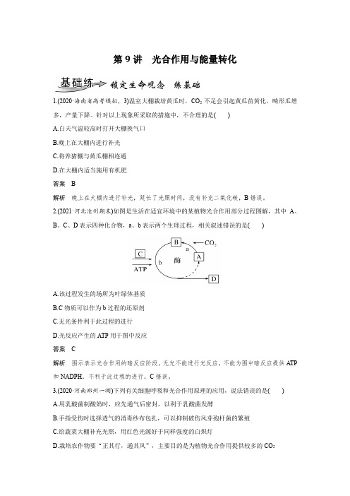 课时作业2：光合作用与能量转化