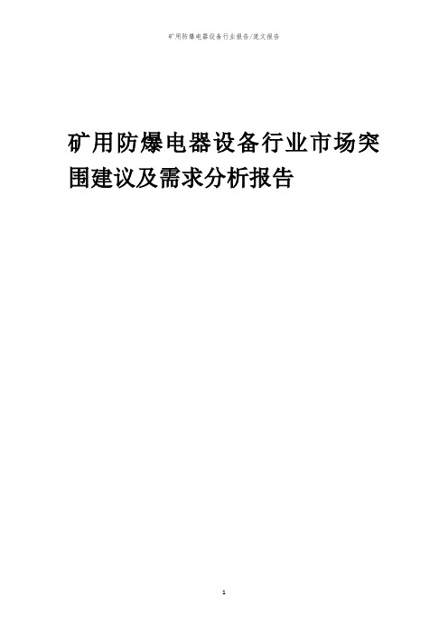 2023年矿用防爆电器设备行业市场突围建议及需求分析报告