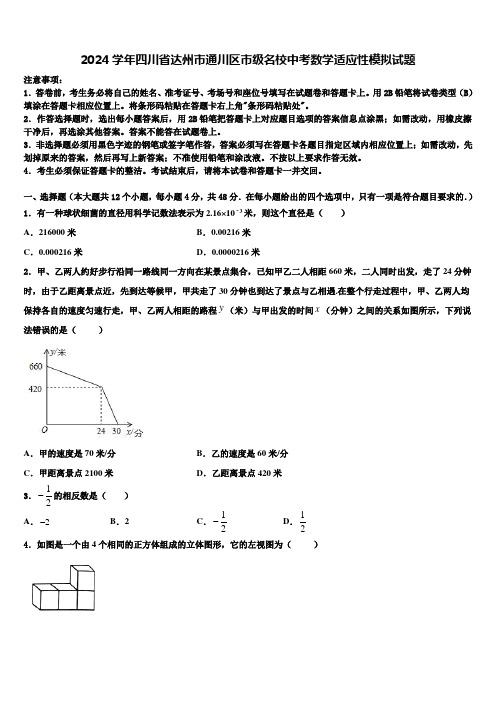 2024届四川省达州市通川区市级名校中考数学适应性模拟试题含解析