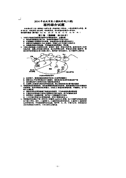 【2014安庆市三模】2014年安徽省安庆市高三模拟考试 理综试题 扫描版含答案