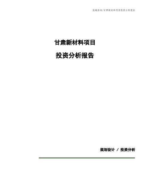 甘肃新材料项目投资分析报告