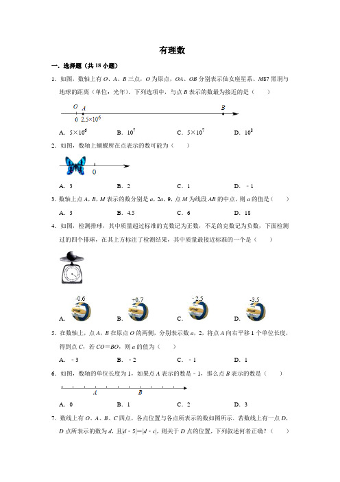 2019年湖北省武汉市中考复习试题--有理数(word版含解析答案)