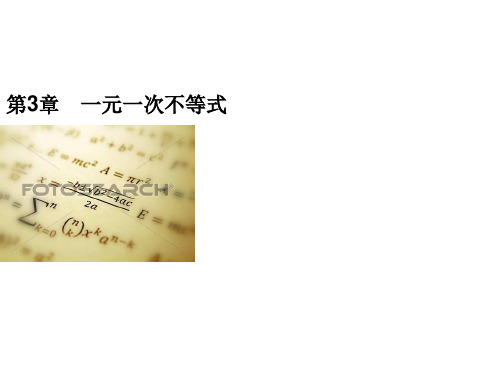 2019秋浙教版八年级数学上册习题课件：3.3 一元一次不等式  第3课时